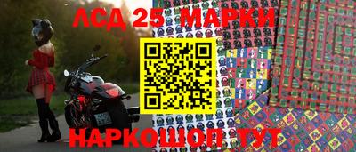 Альфа ПВП Аргун