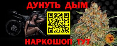 Альфа ПВП Аргун